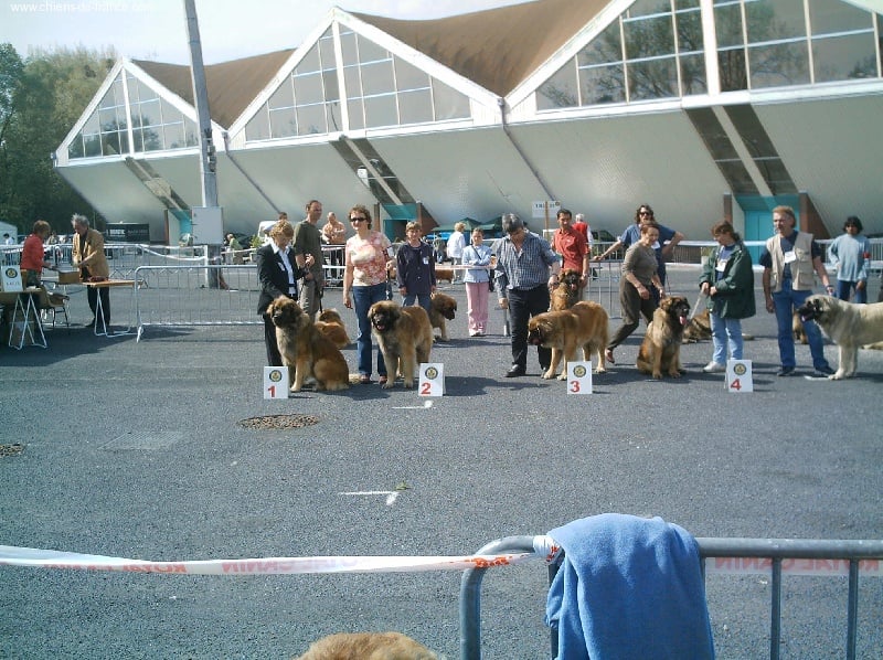 Urlane du chemin de dolimon - 3em Excellent