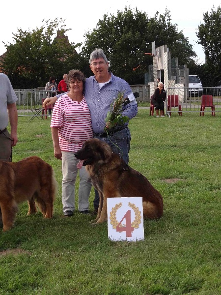 Fendy du Sphinx des lauriers roses - 4em Excellent