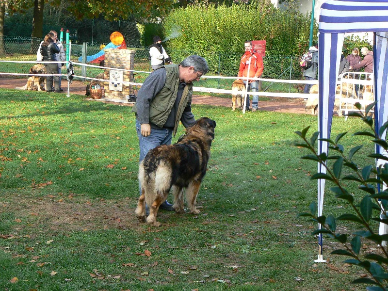Charley unval du chemin de dolimon - Très bon