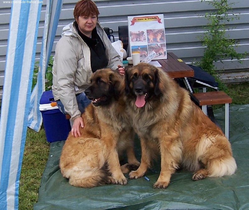 Urlane du chemin de dolimon - 4 em EXC (classe ouverte)