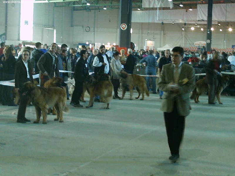 Urlane du chemin de dolimon - CACIB
