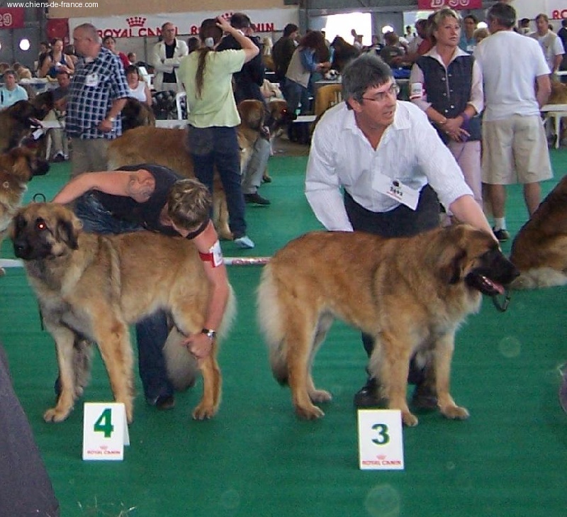 Urlane du chemin de dolimon - 3 èm Excellent (classe intermédiaire)