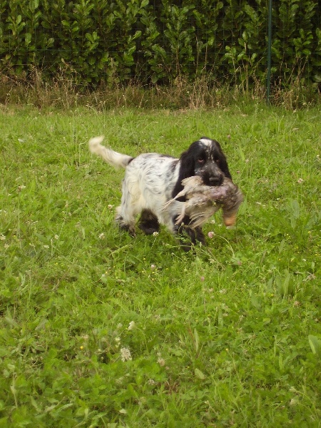 Cassis de made in Roques