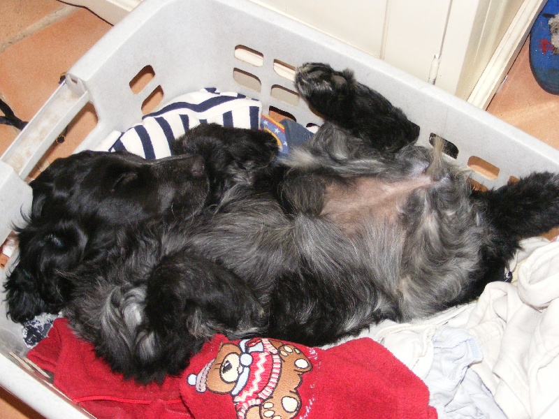 So sweet and Lovely Coco chanel