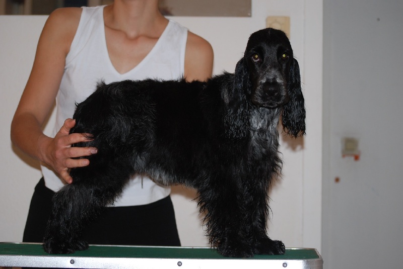 So sweet and Lovely Coco chanel