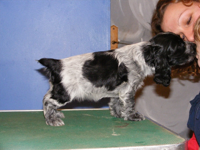 So sweet and Lovely Coco chanel