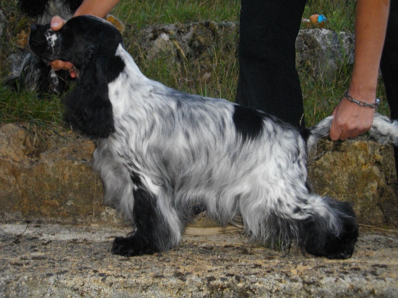 Cassis de made in Roques