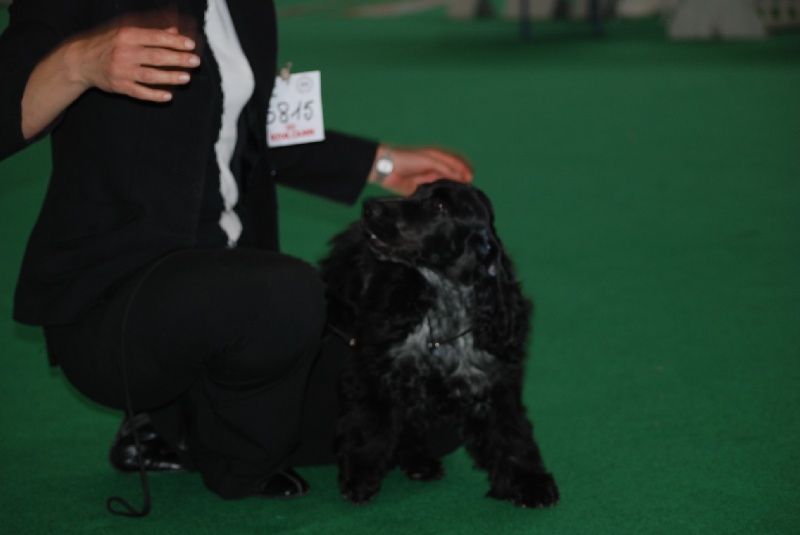 So sweet and Lovely Coco chanel