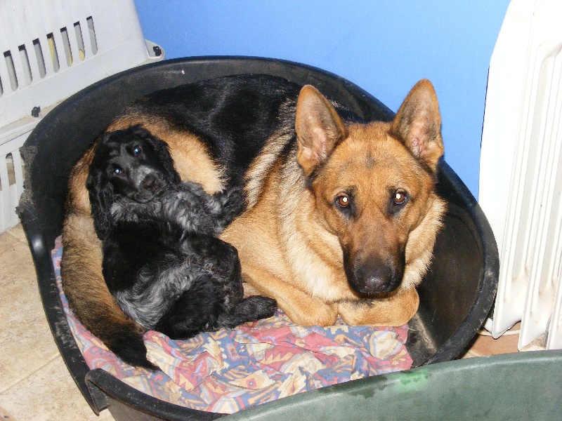 So sweet and Lovely Coco chanel