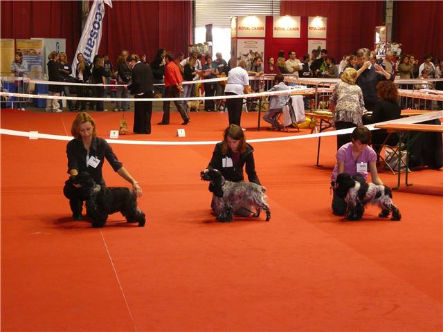 So sweet and Lovely Coco chanel