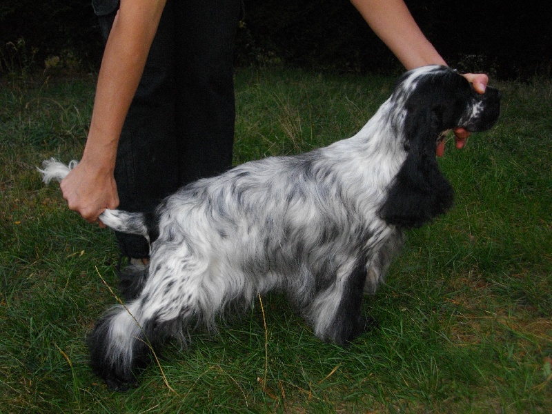 Cassis de made in Roques