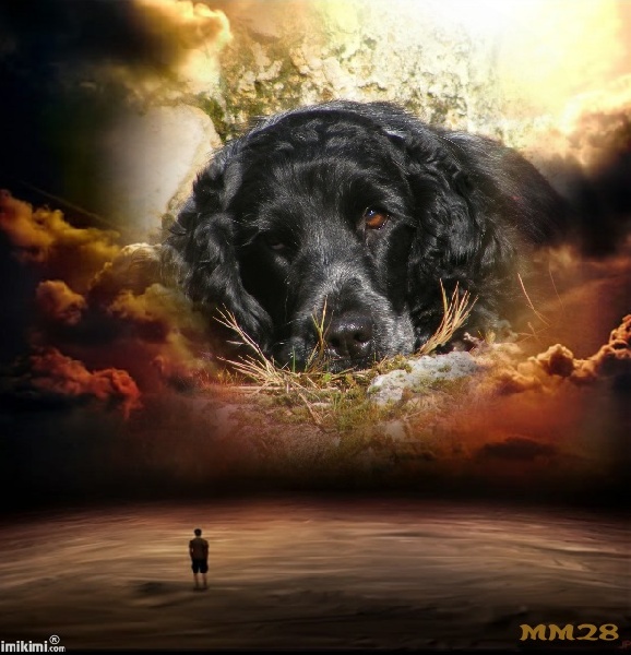 So sweet and Lovely Coco chanel