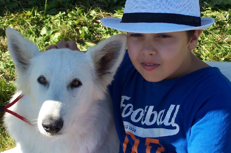 Publication : de la plaine d'alba