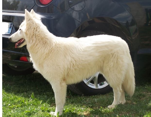 Publication : de la plaine d'alba