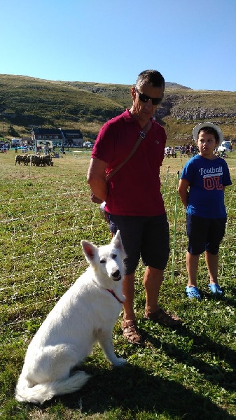 Publication : de la plaine d'alba