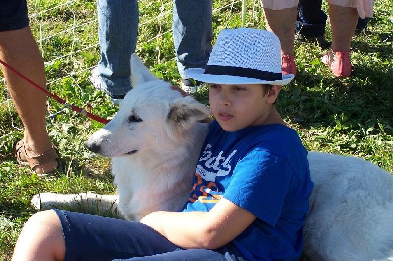 Publication : de la plaine d'alba