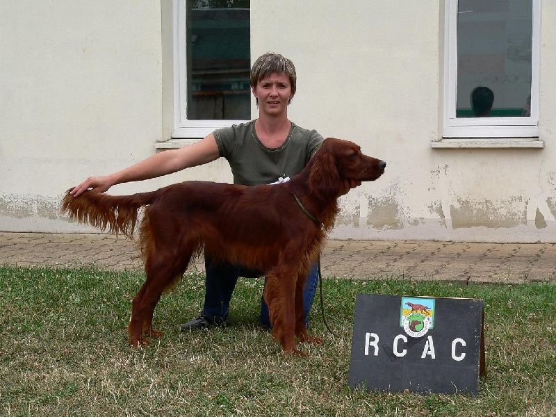 Alpha de la Forêt de Massonge - 1ère Excellent RCACS