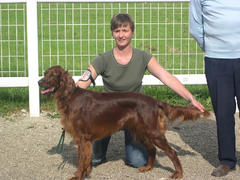 Alpha de la Forêt de Massonge - 1ère EXCELENT CACS / Meilleure de race/ meilleure du groupe 7/ 3ème BIS