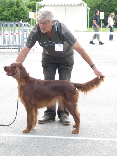 Alpha de la Forêt de Massonge - 2ème Excellent RCACS