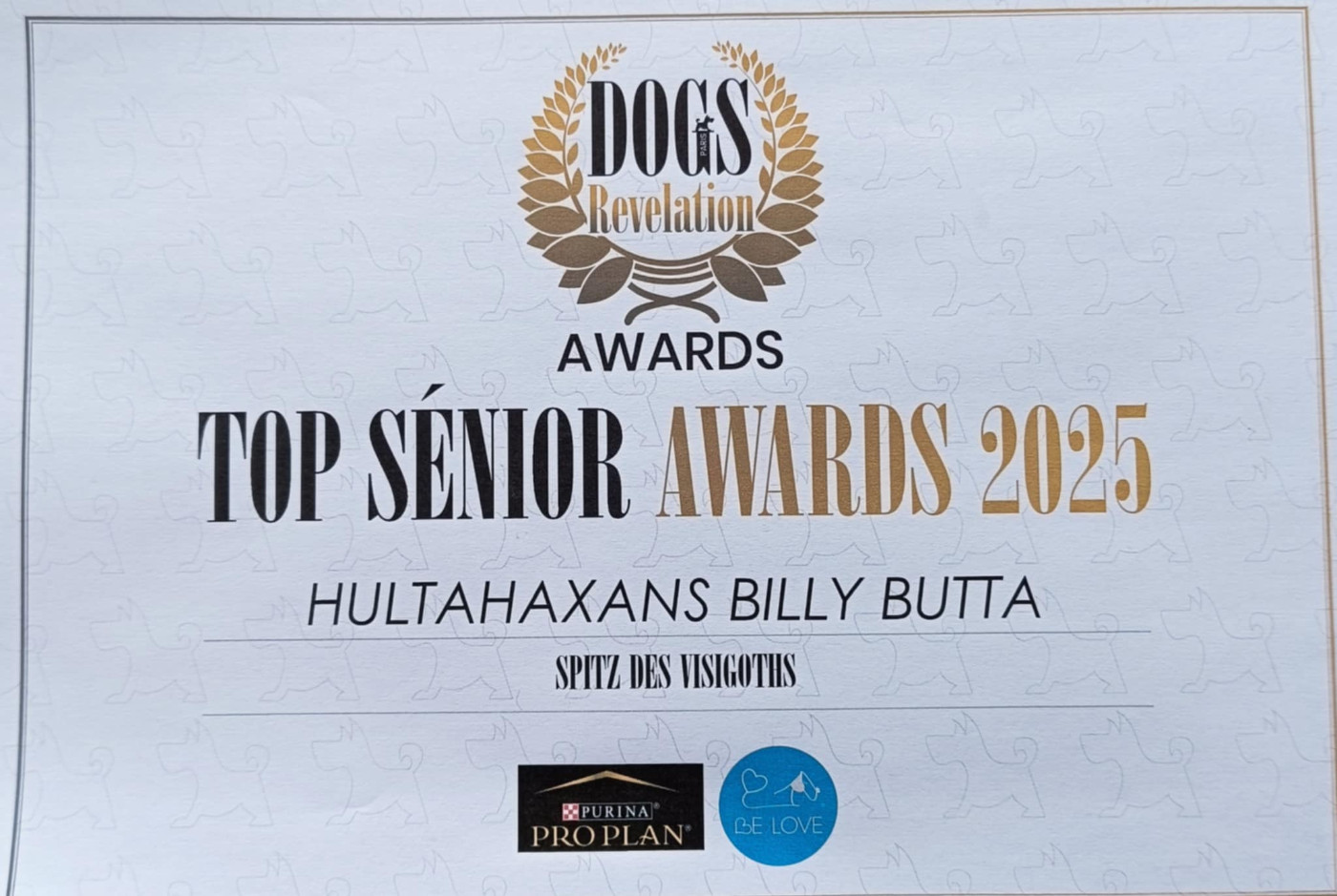 CH. hultahÄxans Billy butta