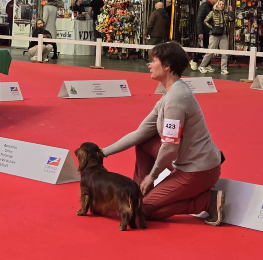 Albert Des coeurs d'alène