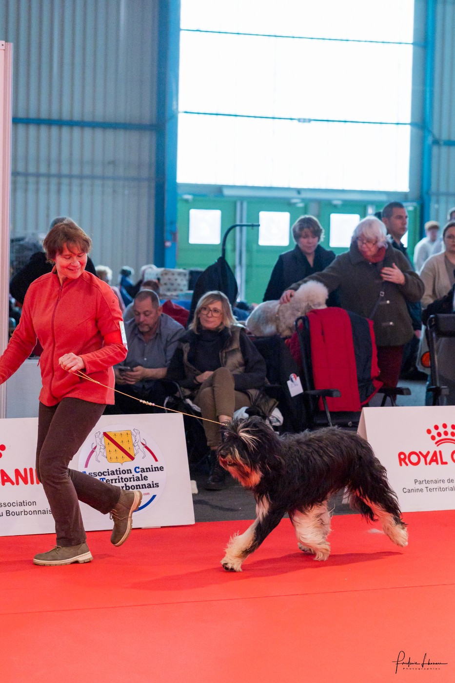 CH. IDEAL IAGO da quinta das fontainhas