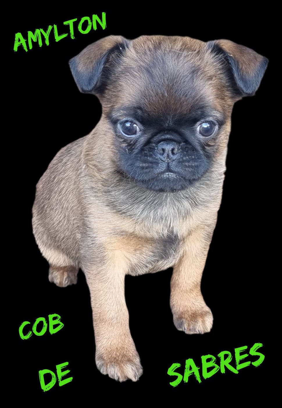 Publication : Des coeurs d'alène