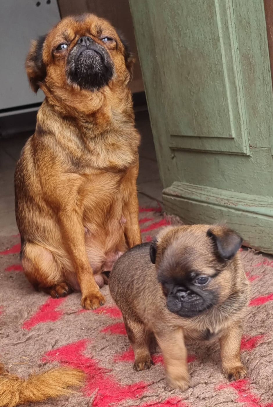 Publication : Des coeurs d'alène