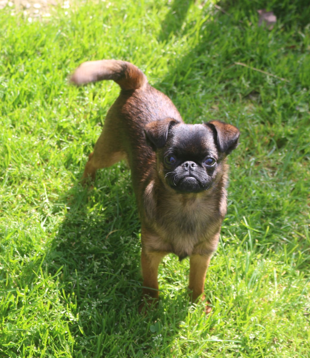 Publication : Des coeurs d'alène