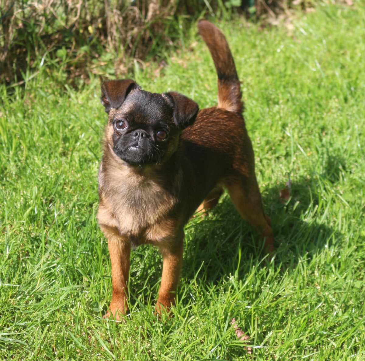 Publication : Des coeurs d'alène