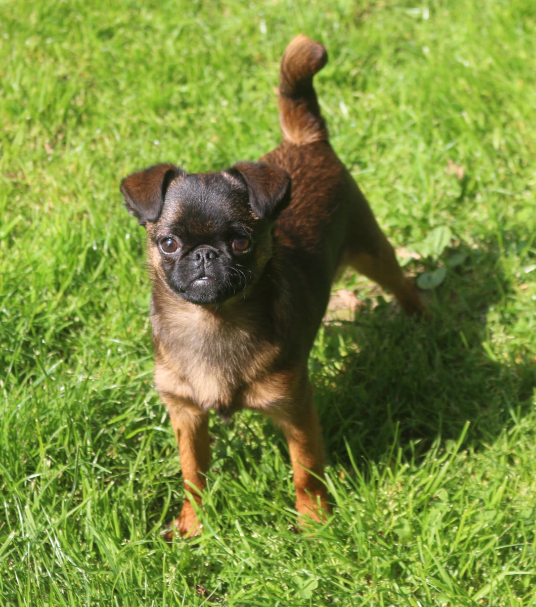 Publication : Des coeurs d'alène