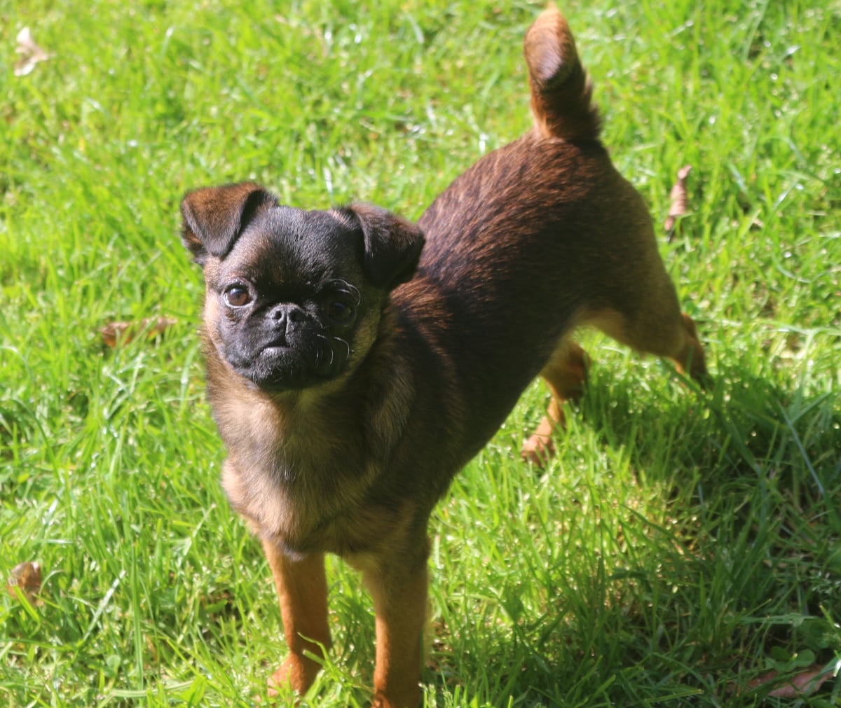 Publication : Des coeurs d'alène