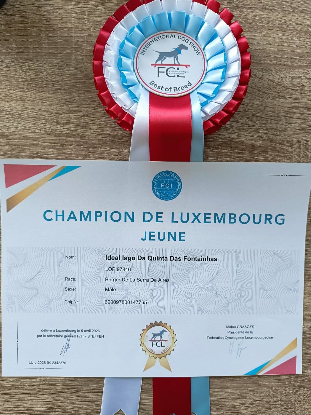 CH. IDEAL IAGO da quinta das fontainhas