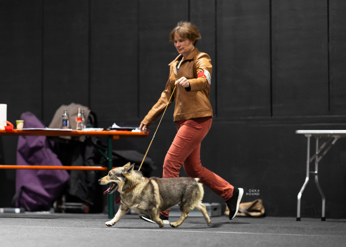 CH. hultahÄxans Billy butta