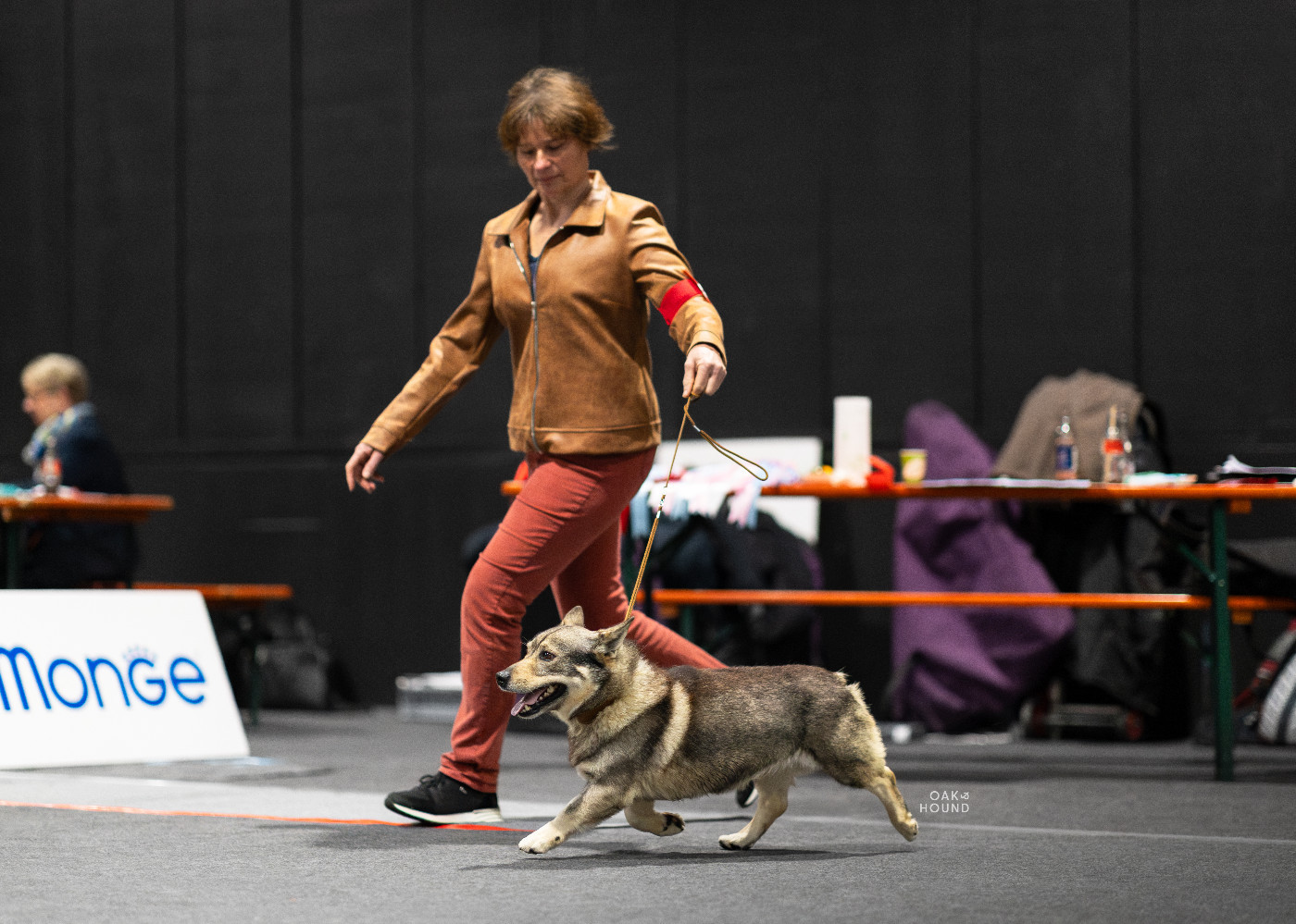 CH. hultahÄxans Billy butta