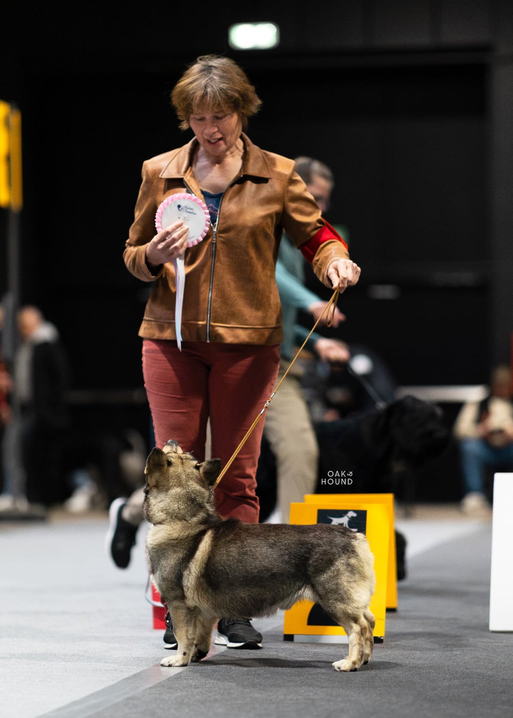 CH. hultahÄxans Billy butta