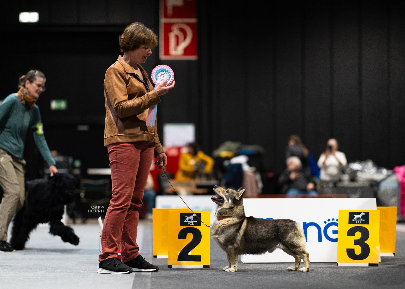 CH. hultahÄxans Billy butta