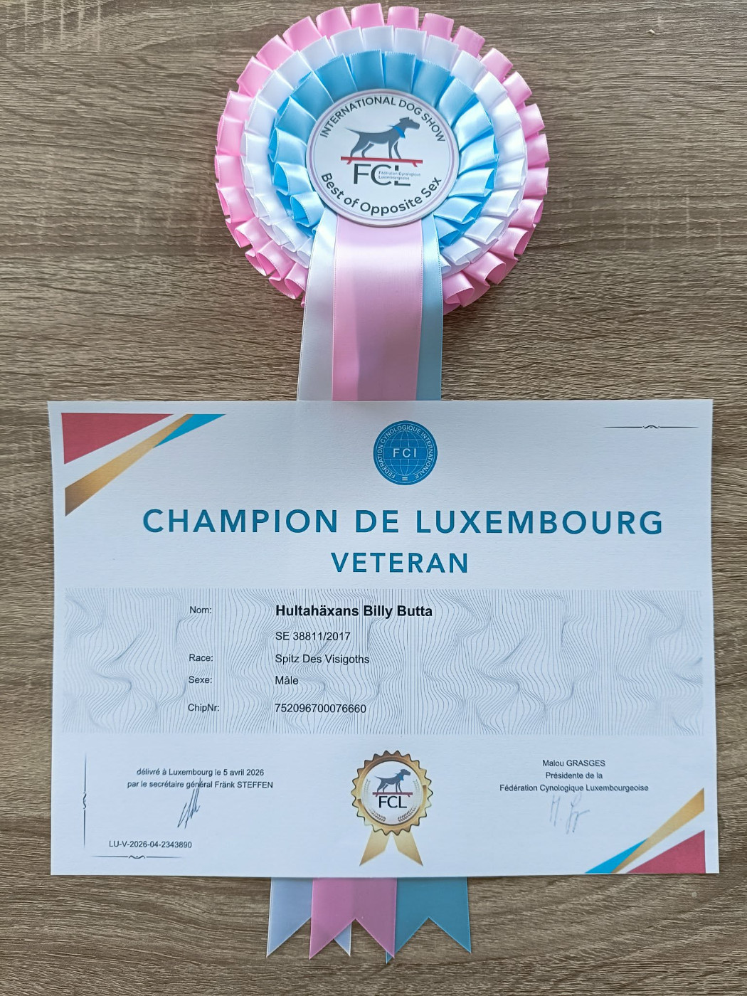 CH. hultahÄxans Billy butta