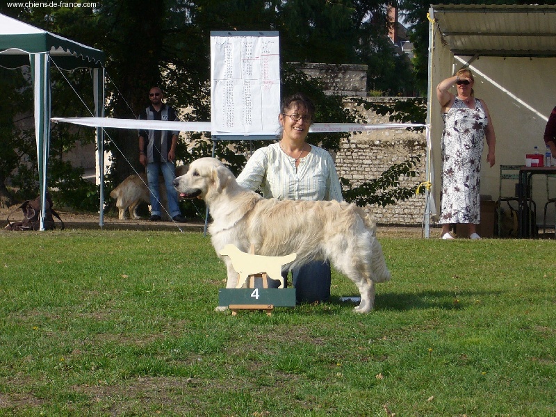 Dewmist Days of thunder - 4eme ExcLLENT clase intermediaire