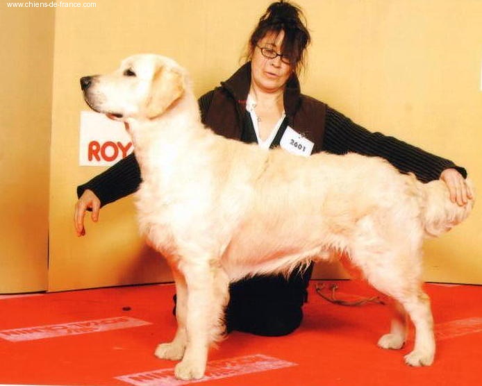 Dewmist Days of thunder - 4eme excellent classe jeune/13 entrees