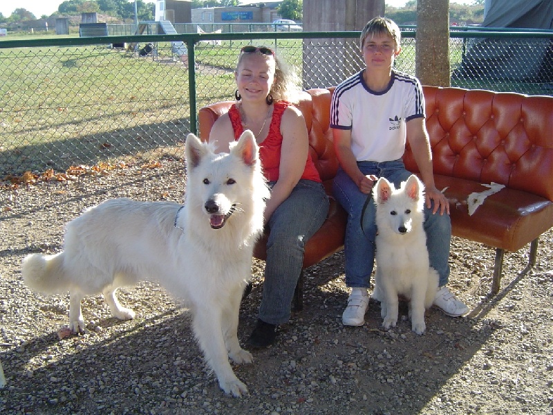 Publication : L'aige de la tournelle Auteur : A. JOLY