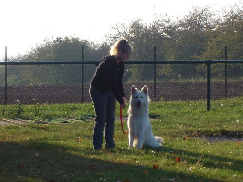 Publication : L'aige de la tournelle Auteur : A. JOLY