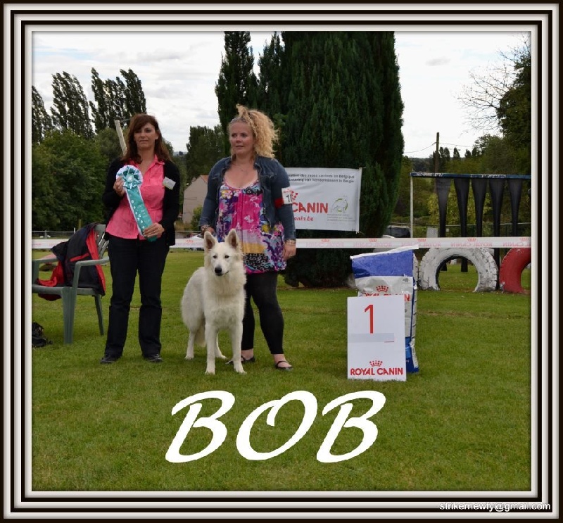 Publication : L'aige de la tournelle