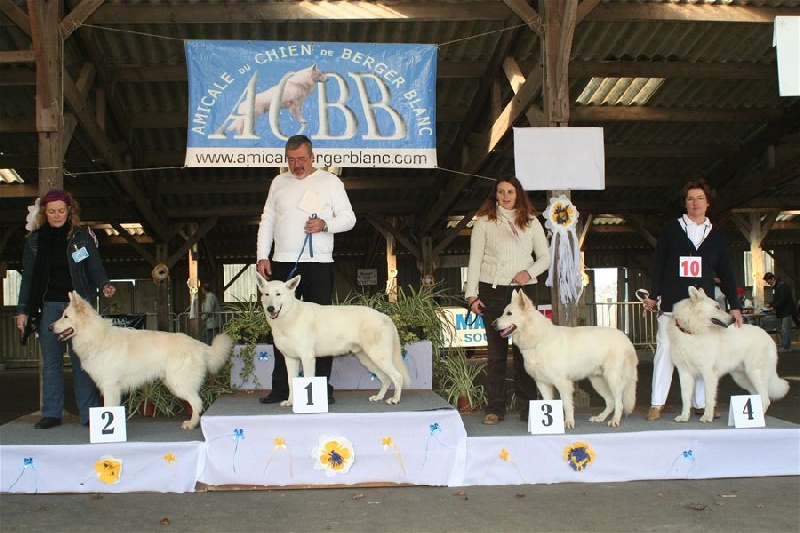 Publication : L'aige de la tournelle Auteur : A. JOLY