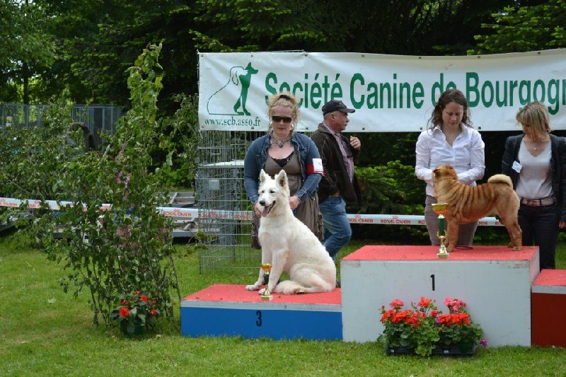 Publication : L'aige de la tournelle