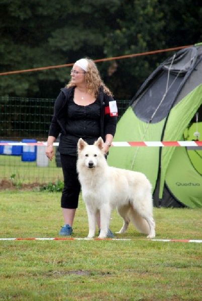 Falkindy Of haely's future - EXCELLENT - non classé