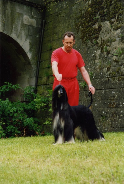 Publication : Tarmania Auteur : Alf