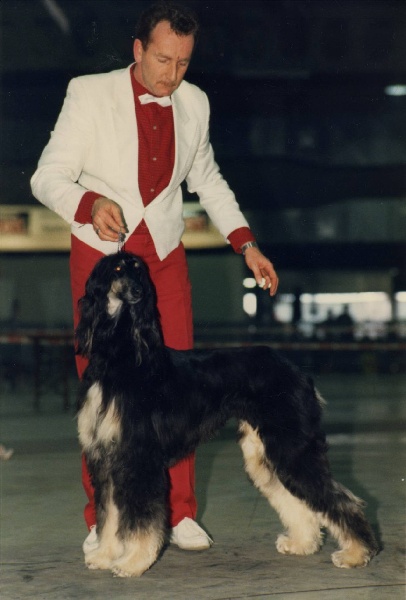 Publication : Tarmania Auteur : Alf