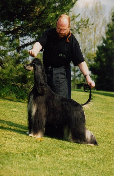 Publication : Tarmania Auteur : Alf