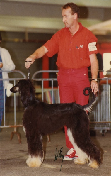 Publication : Tarmania Auteur : Alf